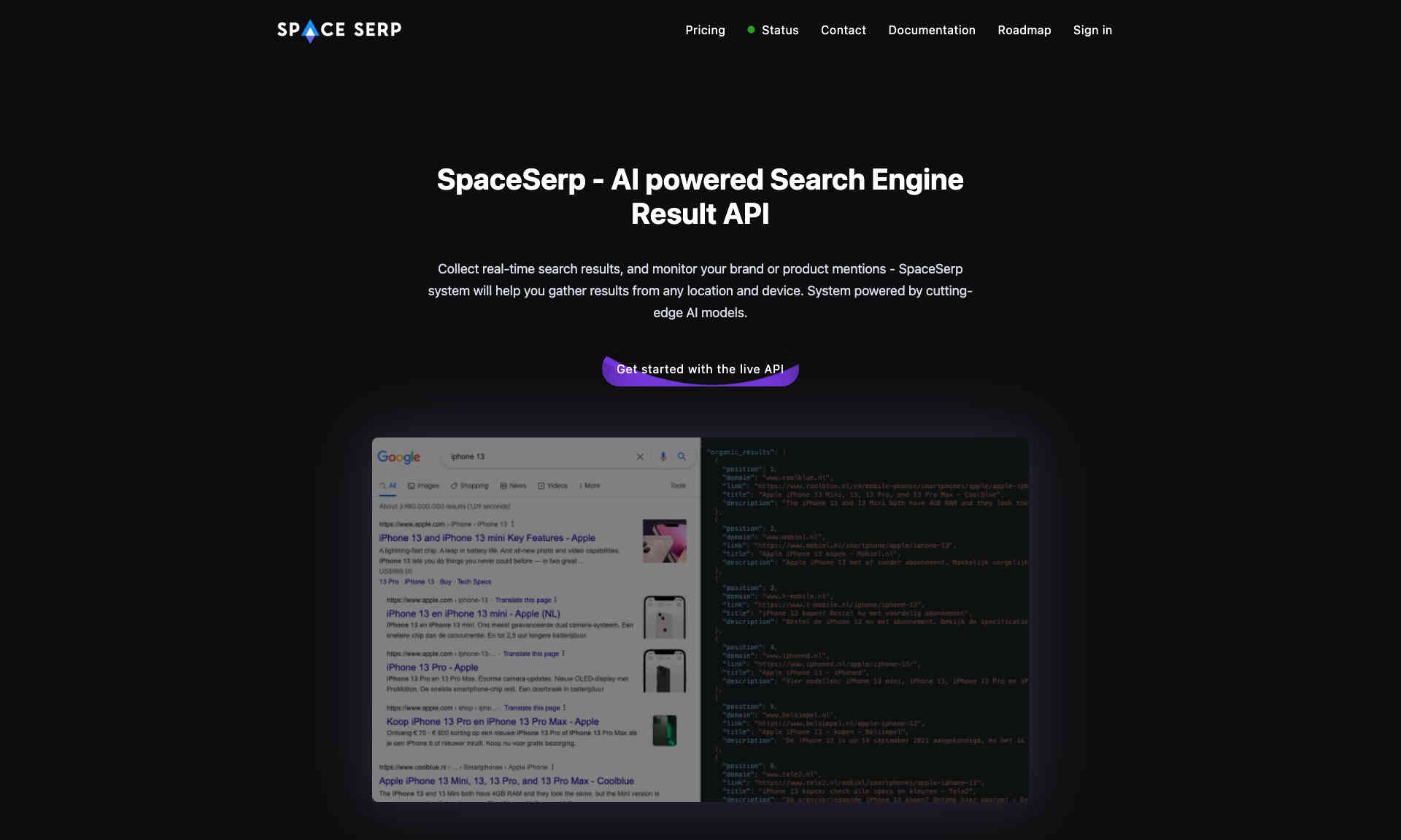 SpaceSerp Homepage